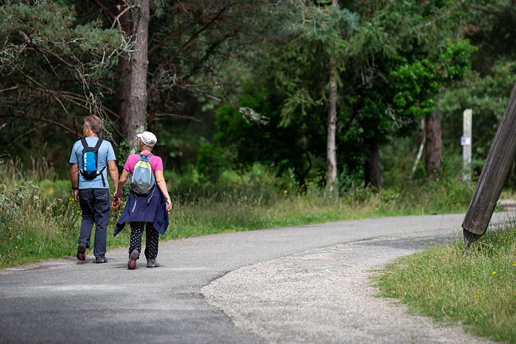 51328596595_5a62864fb0_c