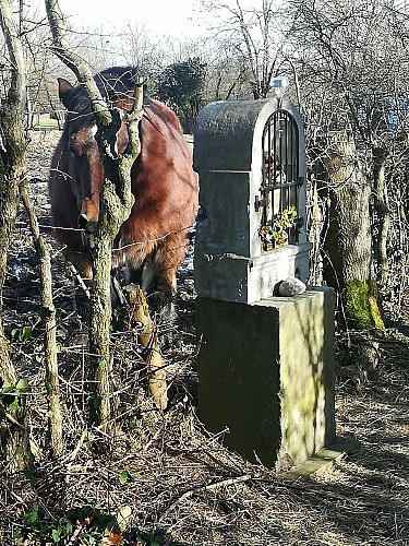 Soumagne-Xhendelesse-Olne par La Turlurette
