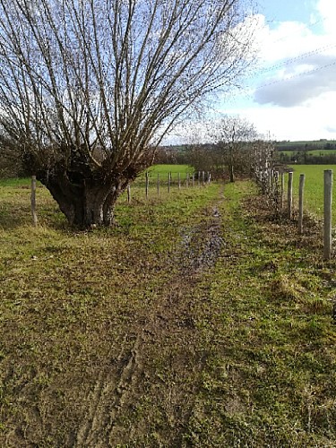 Soumagne-Xhendelesse-Olne par La Turlurette