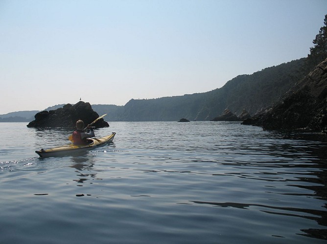 Découverte Nature en Kayak sur la Presqu'île de Crozon