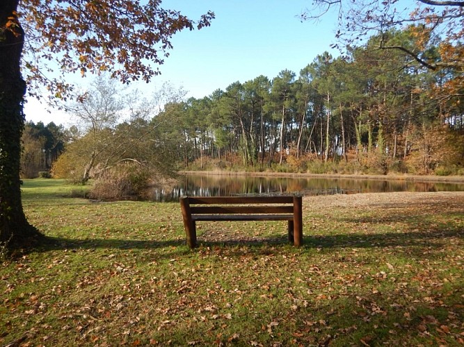 Etang-de-Camps-SL-13-redi