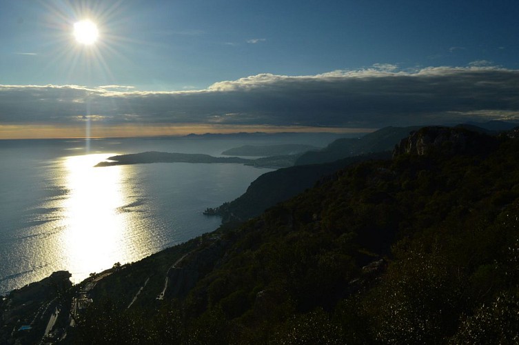 Via Alpina de Monaco