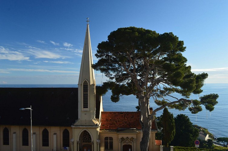 Via Alpina de Monaco