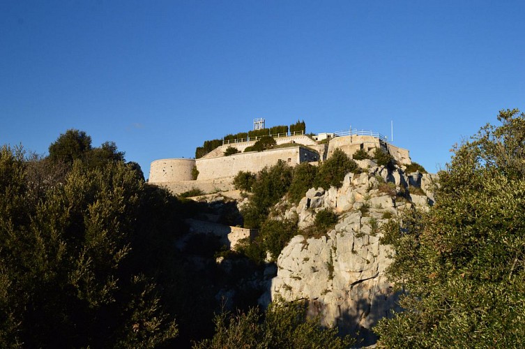 Via Alpina de Monaco