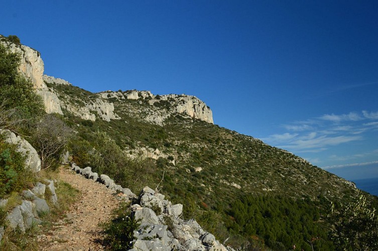 Via Alpina de Monaco
