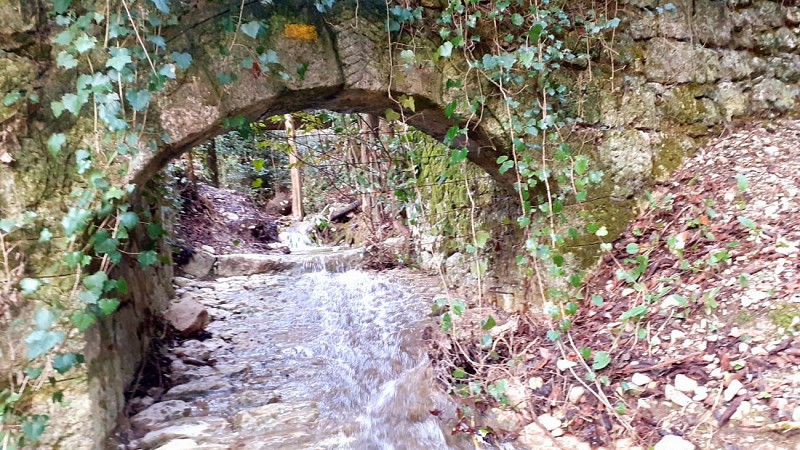 Ruines au fil de l'eau