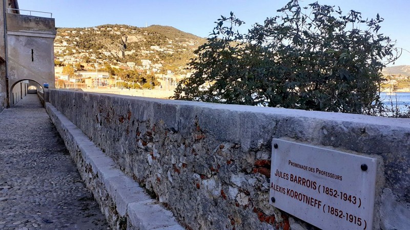 La Promenade des Professeurs