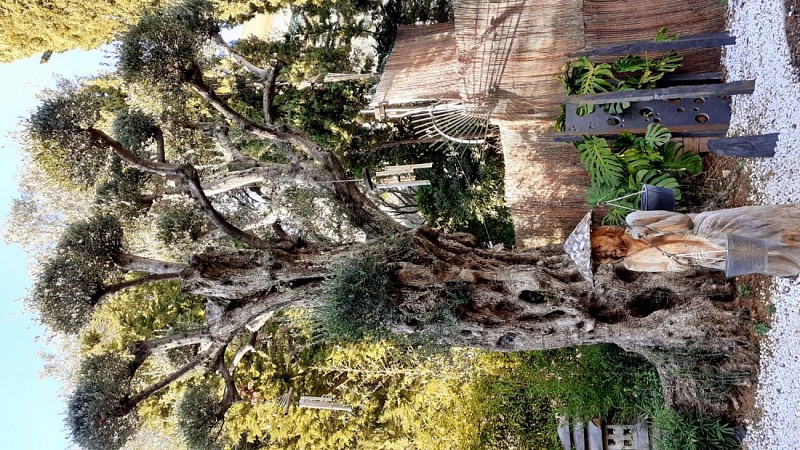 Oeuvres du Parc du Cap-Martin