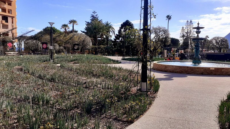 Roseraie Princesse Grace