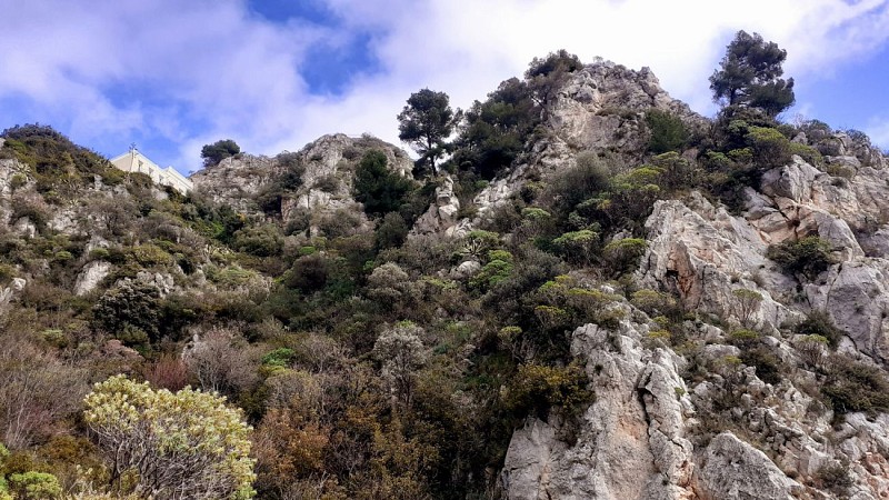 Descente de caractère