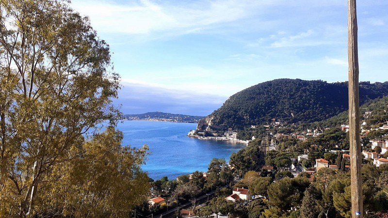 Cap Roux et Port Vilva Maris