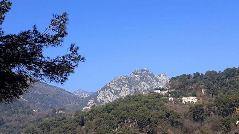 Château de Sainte-Agnès