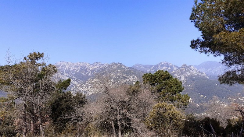 De la Cime de Baudon au Château de Sainte-Agnès