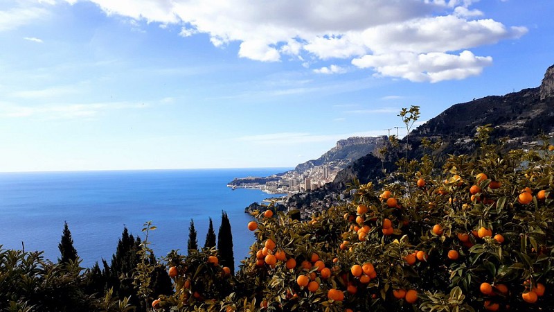 Et Monaco apparait !