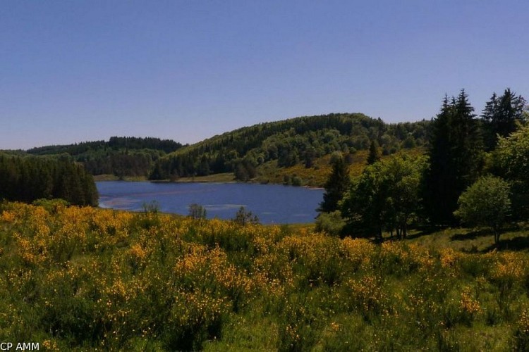 Etang des Oussines