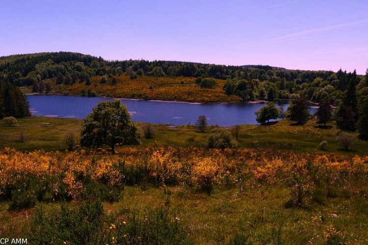 Etang des Oussines