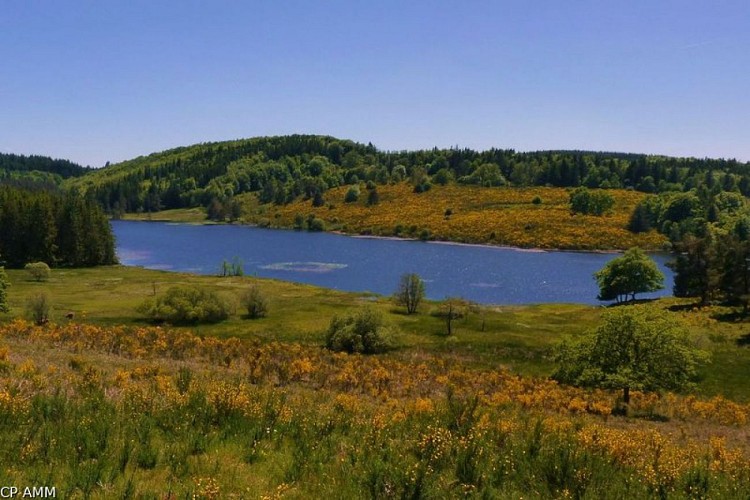 Etang des Oussines