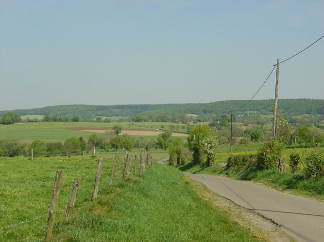 Chemin bocage