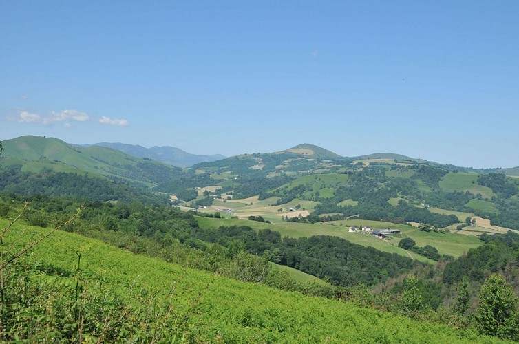 Vallée vers Barcus