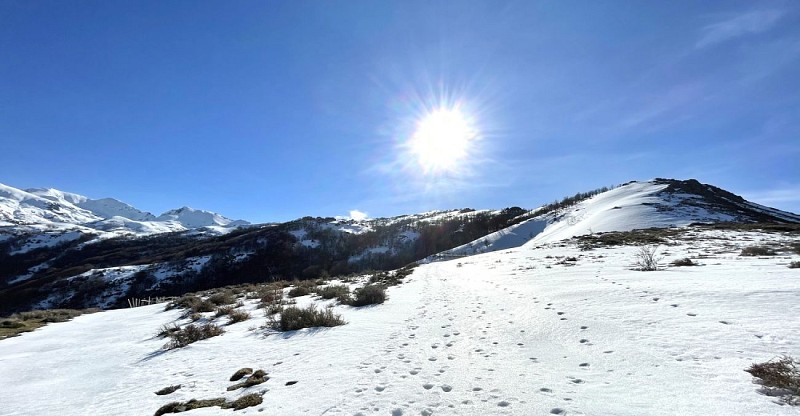 Corse-Région Gravona-Verdanese