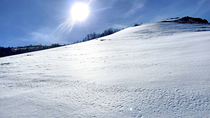 Corse-Région Gravona-Verdanese