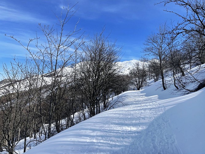 Corse-Région Gravona-Verdanese