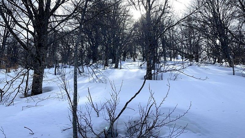 Corse-Région Gravona-Verdanese