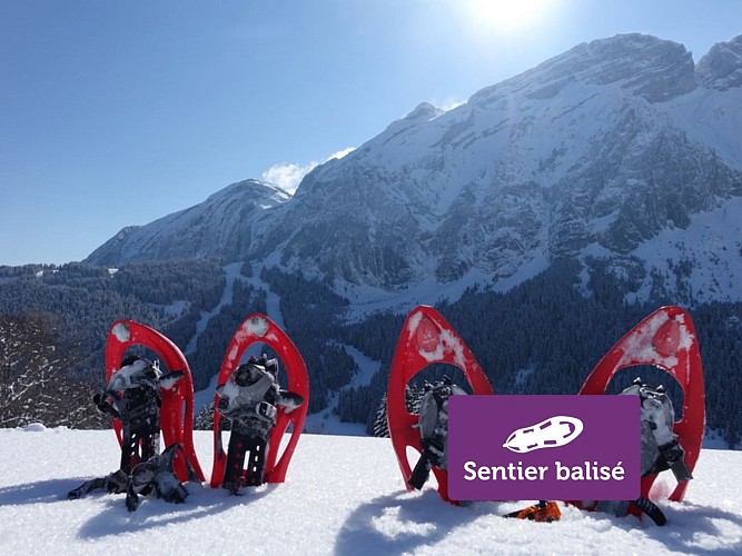 La Pellaz - Winter hike_Mont-Saxonnex