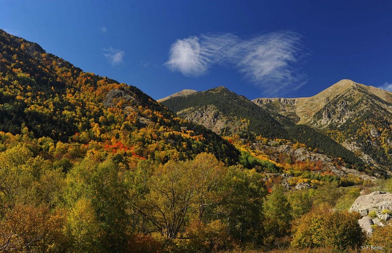 La Vallée du Carol à l'automne