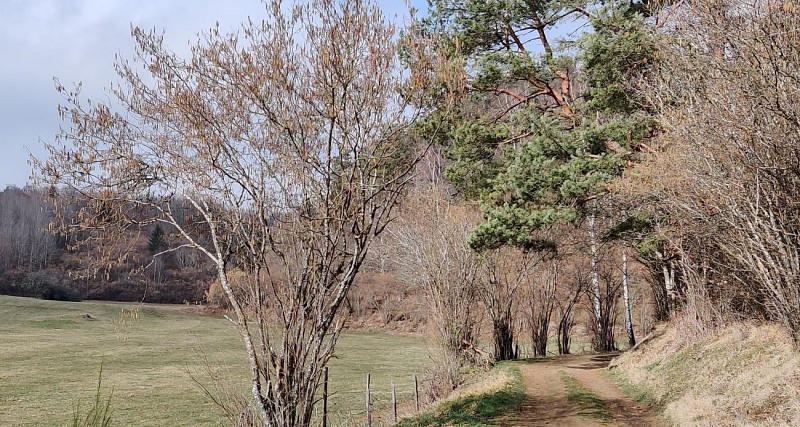 Les hauteurs de Fontfreyde