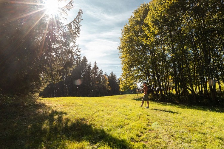 Itinéraire pédestre : Alpage des Rutines_Samoëns