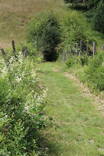 Sentier Le Puy Bayard