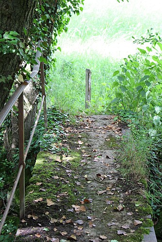 Sentier Le Puy Bayard