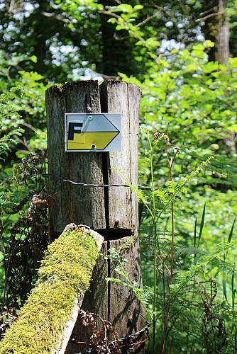 Sentier Le Puy Bayard