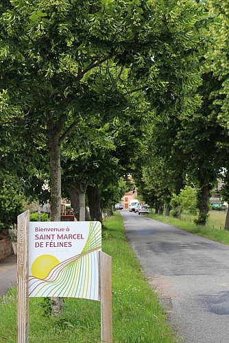 Sentier Le Puy Bayard