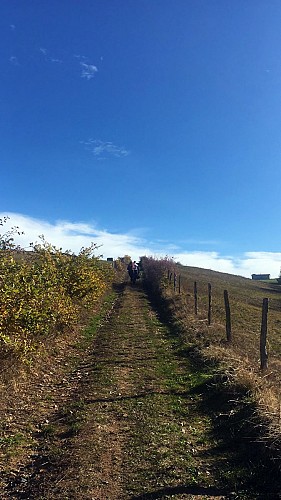 Sentier La croix de la Sauteuse