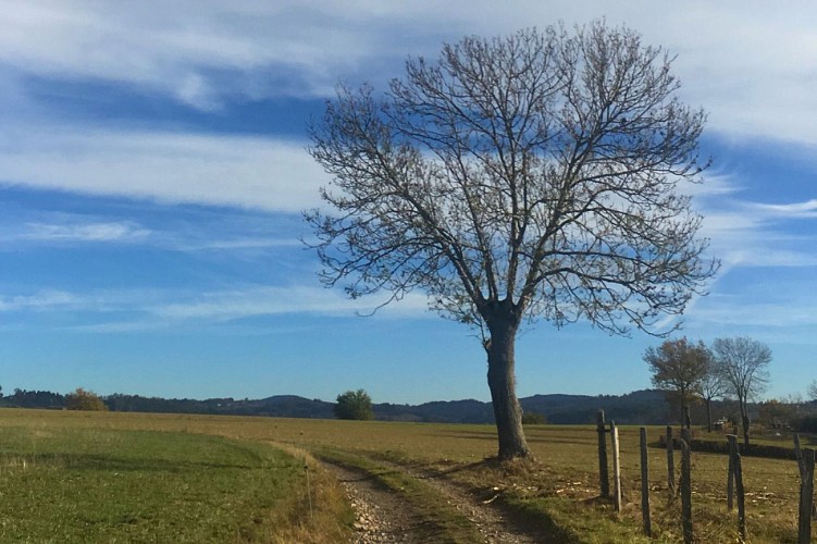 Sentier La croix de la Sauteuse