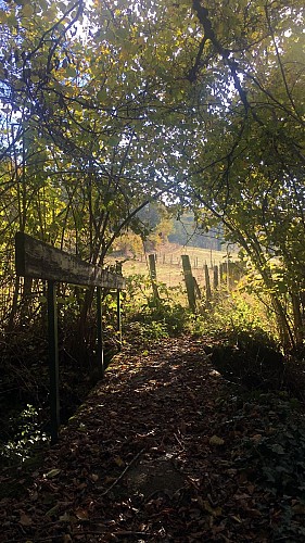 Sentier La croix de la Sauteuse