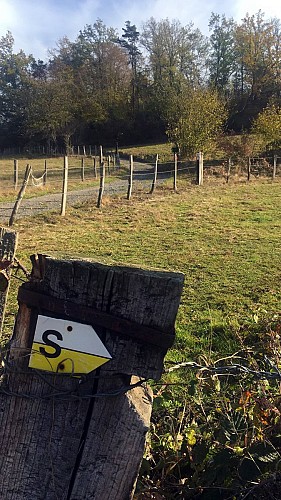 Sentier La croix de la Sauteuse