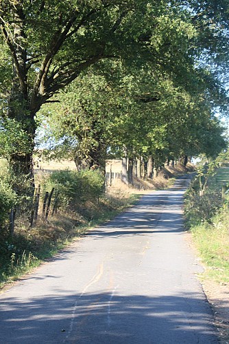 Le tour du Monastère