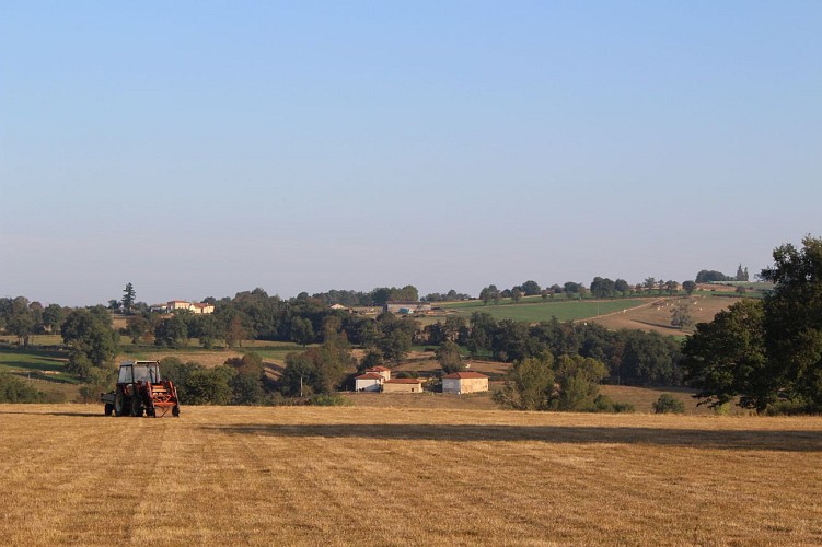 Le tour du monastère