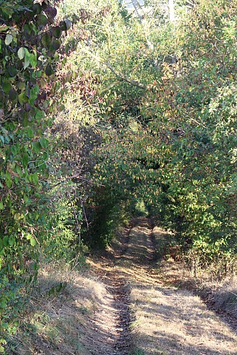 Le tour du monastère