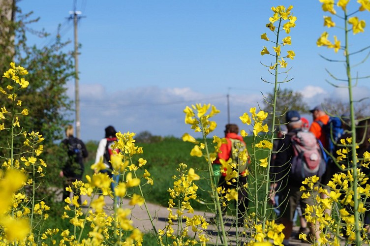 Sentier Le Fay_Saint-Martin-Lestra