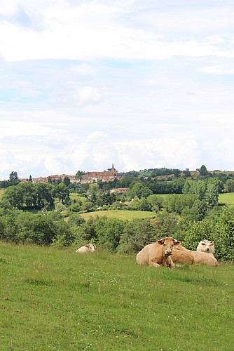 Sentier la grotte de Félines
