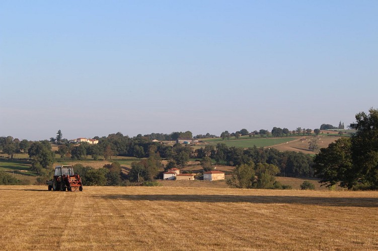 Sentier La campagne gildarienne