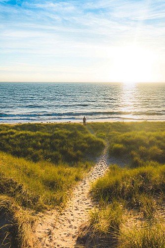 Circuit des maraîchers - Tourneville-sur-Mer