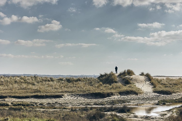 Circuit des maraîchers - Tourneville-sur-Mer