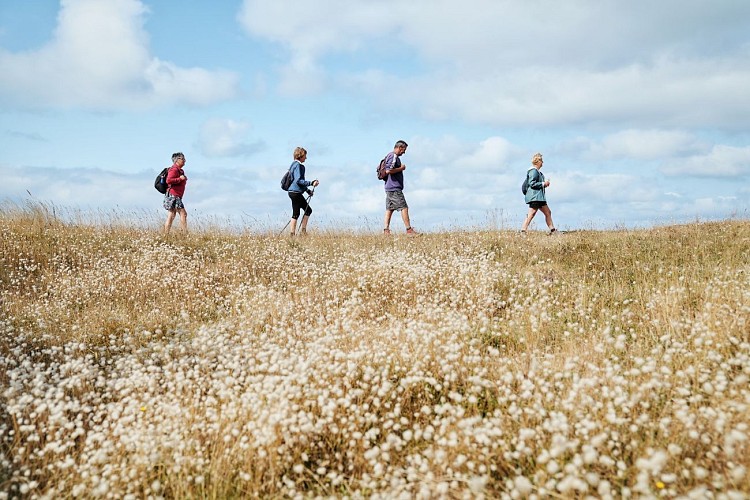 Circuit des maraîchers - Tourneville-sur-Mer