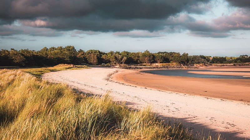 Circuit des maraîchers - Tourneville-sur-Mer