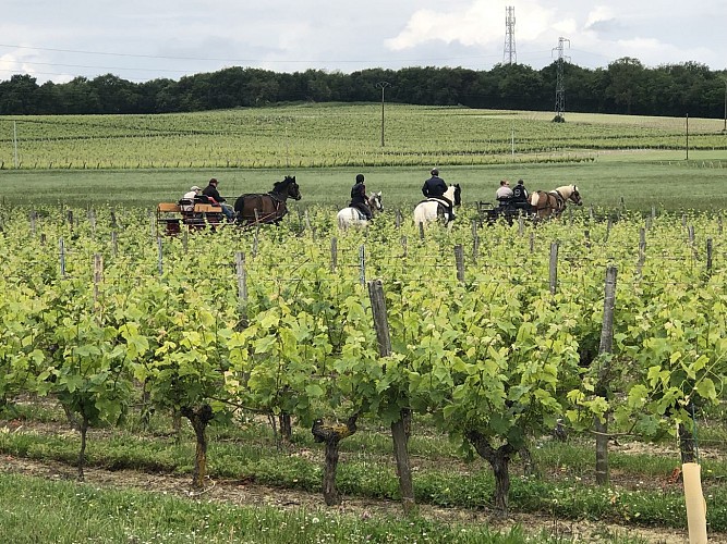 ROUTE EUROPÉENNE D'ARTAGNAN